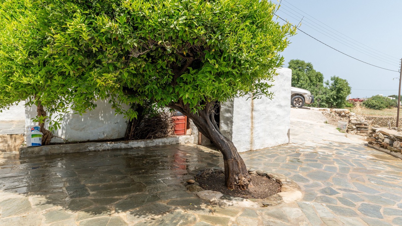 Photo of Outdoor in Apollonia