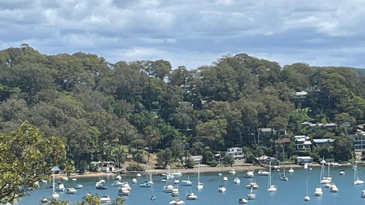 Photo of Others in Avalon Beach