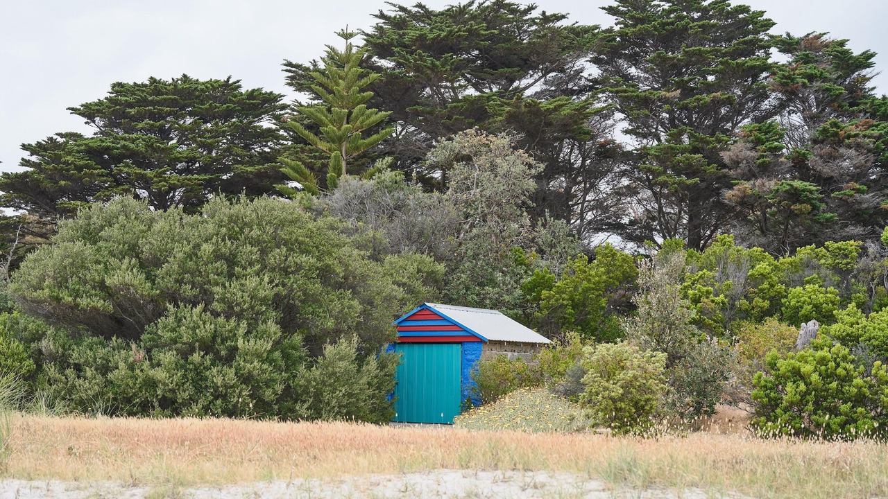 Photo of Outdoor in Rosebud