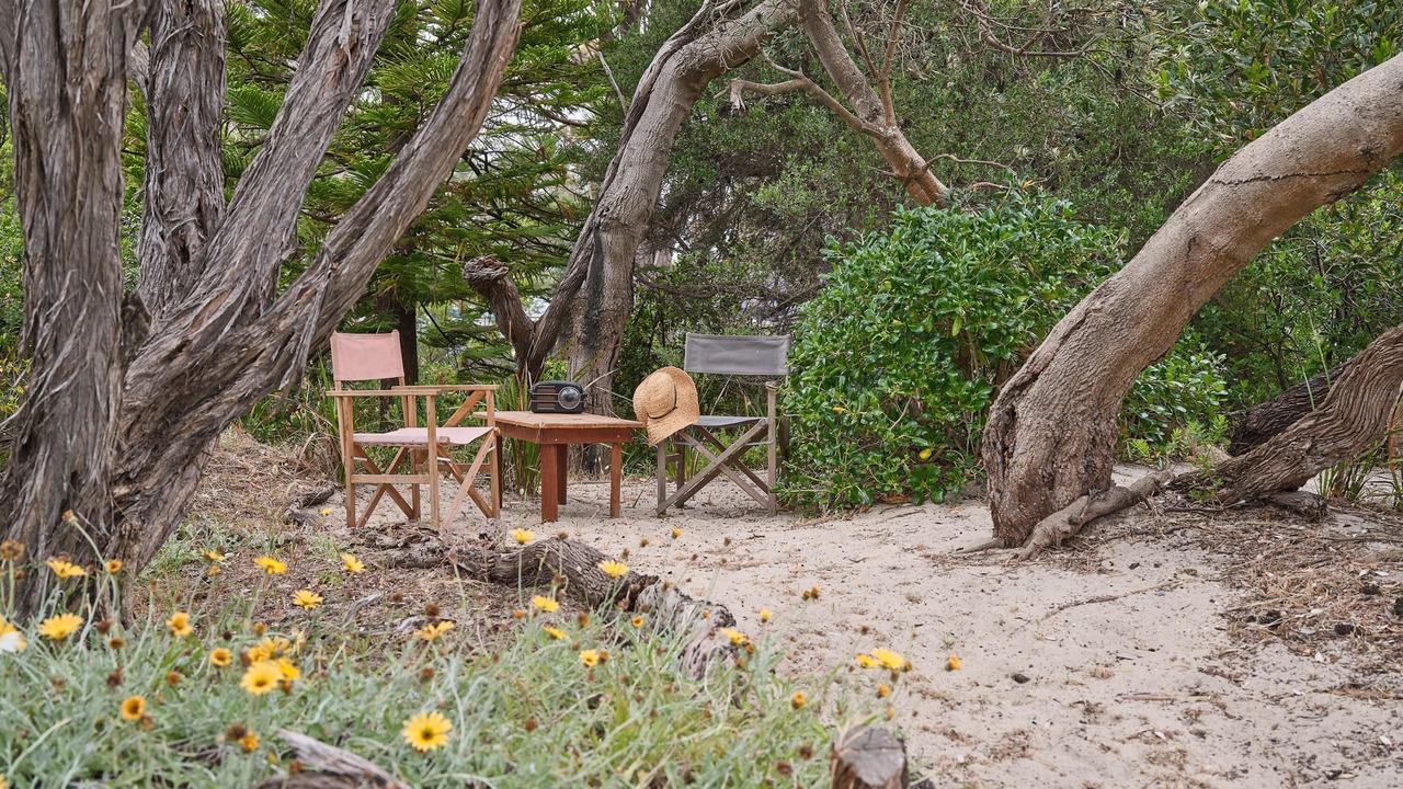 Photo of Outdoor in Rosebud