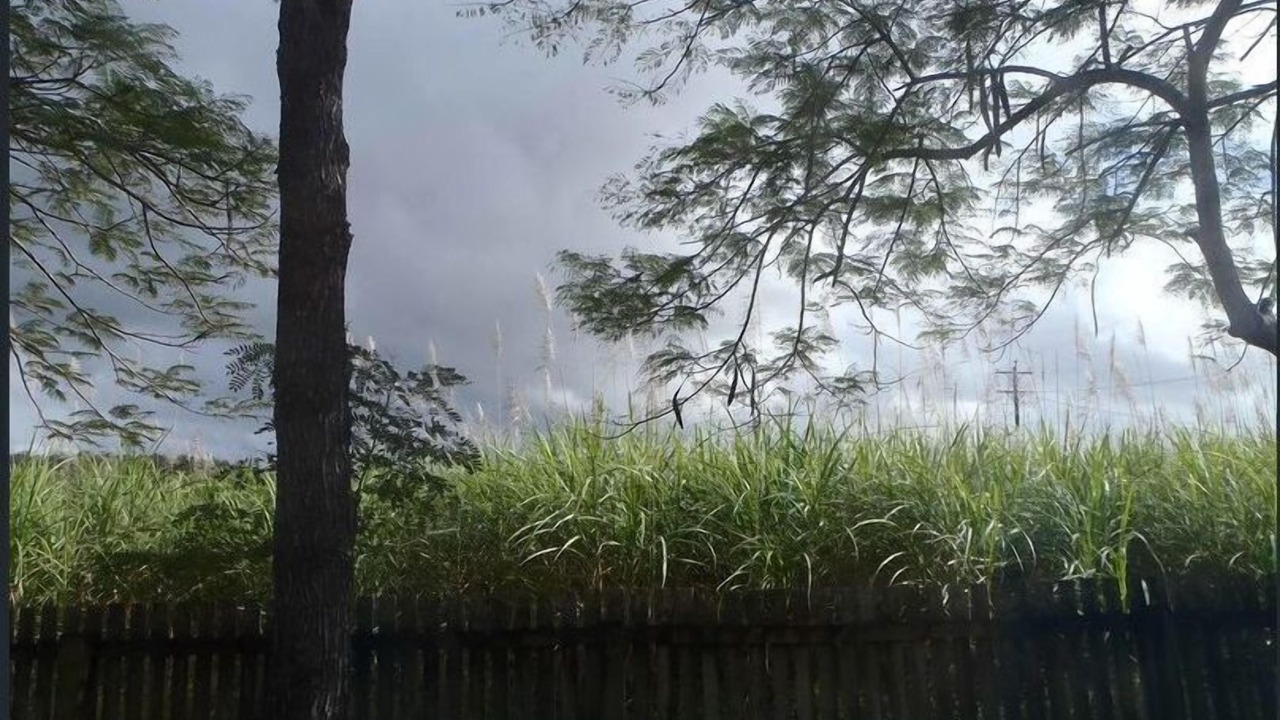 Photo of Outdoor in Kuttabul