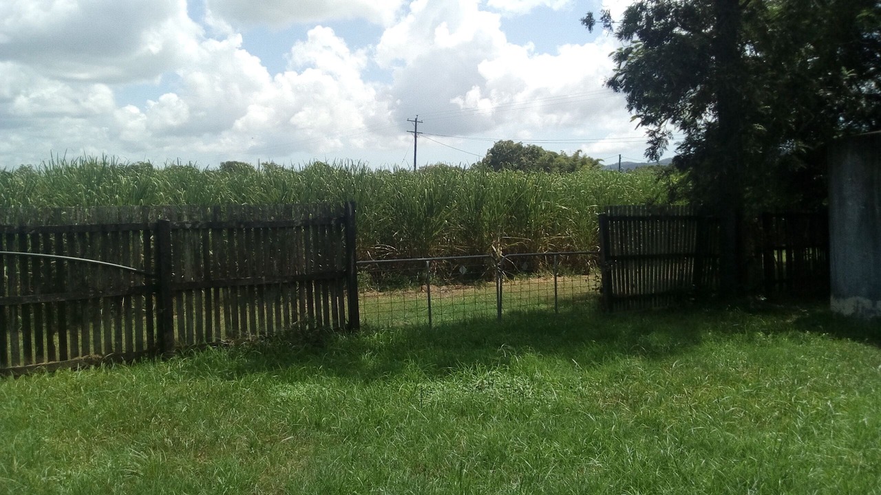 Photo of Outdoor in Kuttabul
