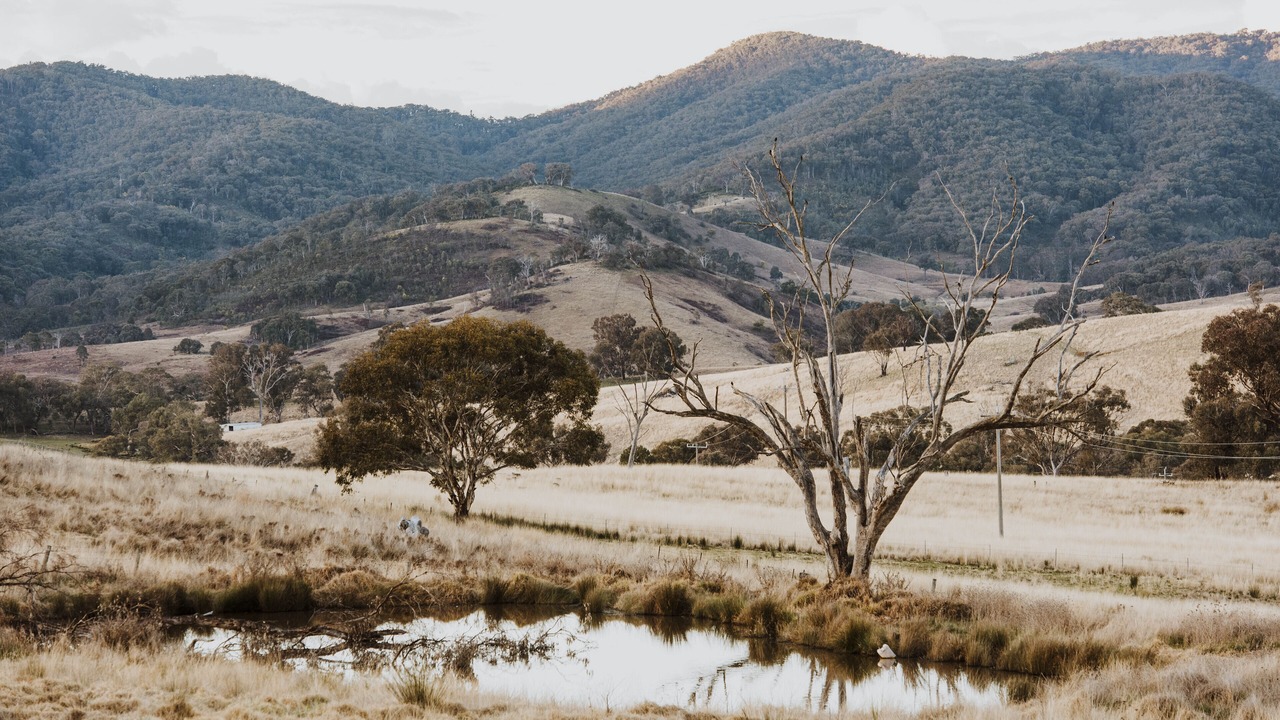 Photo of Outdoor in Meroo
