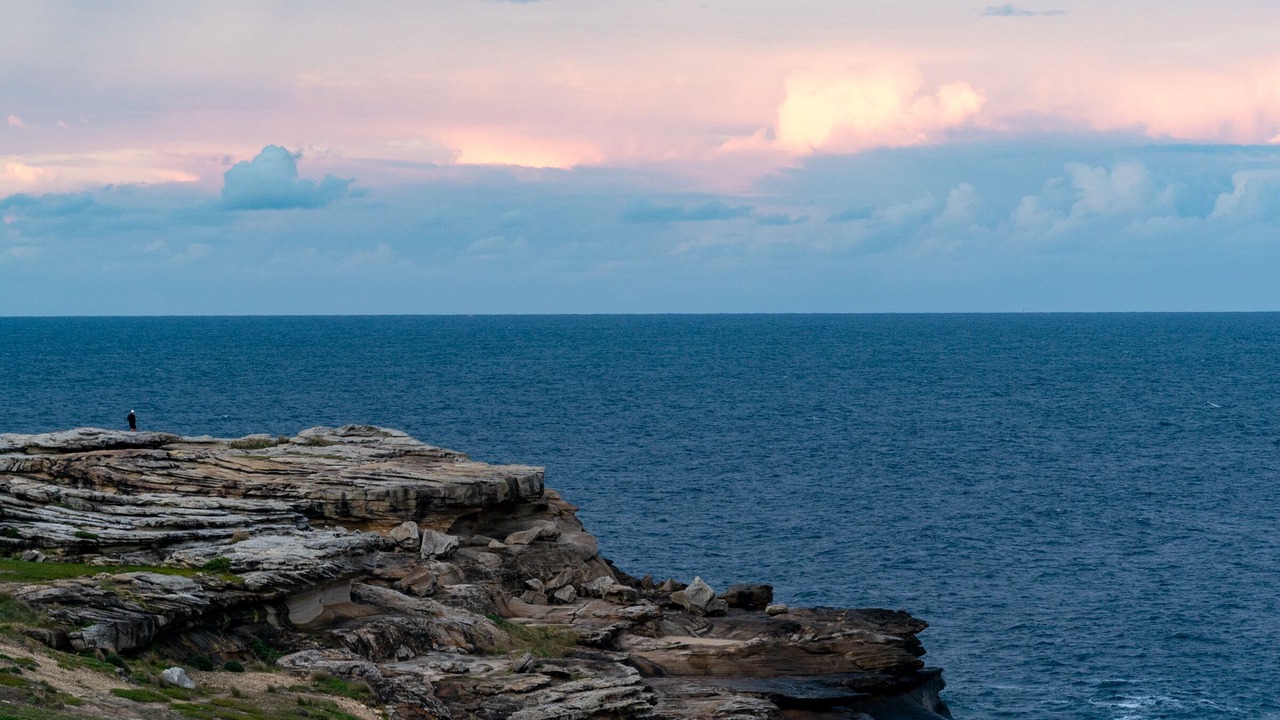 Photo of Others in Maroubra