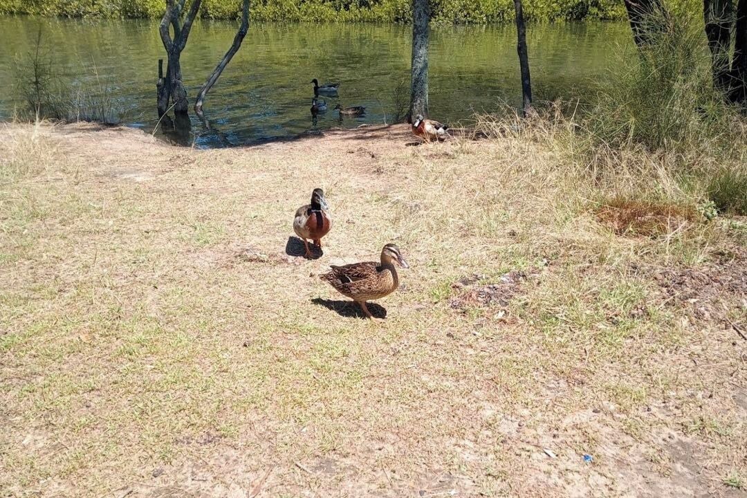 Photo of Others in West Gosford