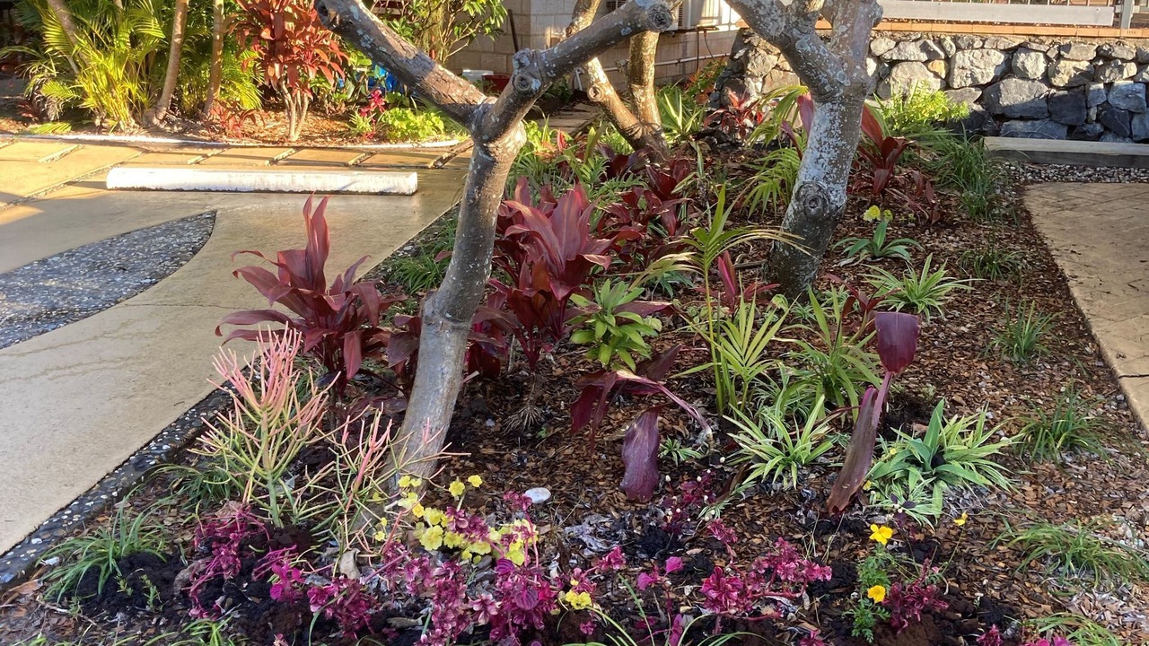 Photo of Outdoor in Korora