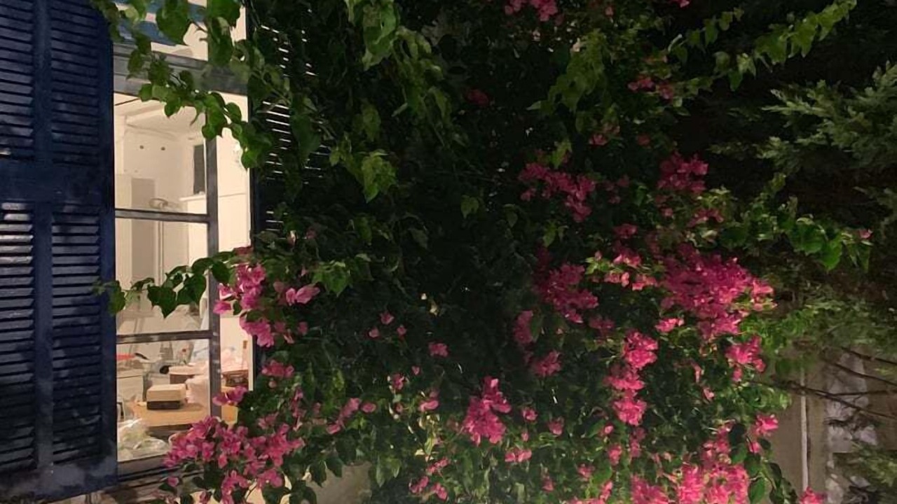 Photo of Outdoor in Myrina
