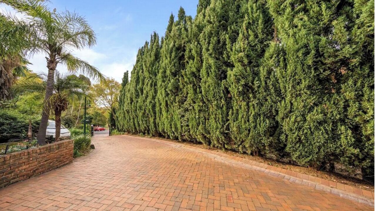 Photo of Outdoor in Warrandyte