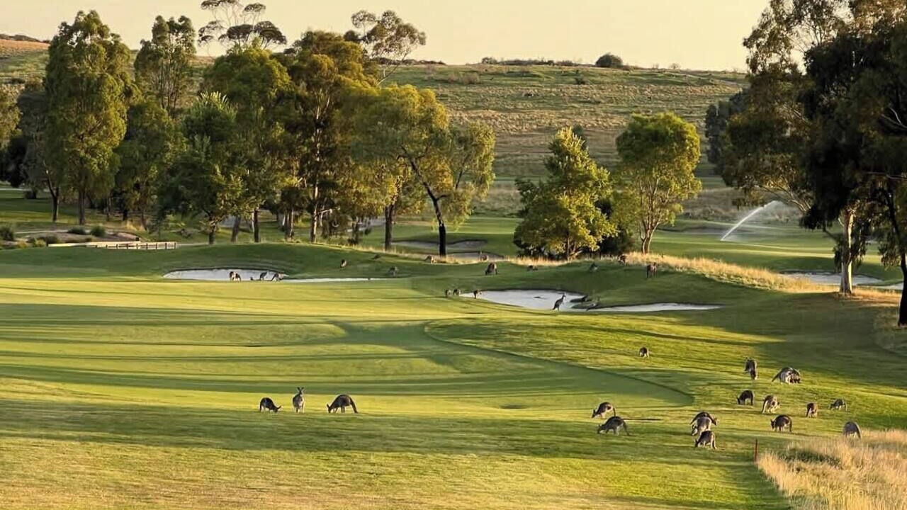 Photo of Others in Chirnside Park