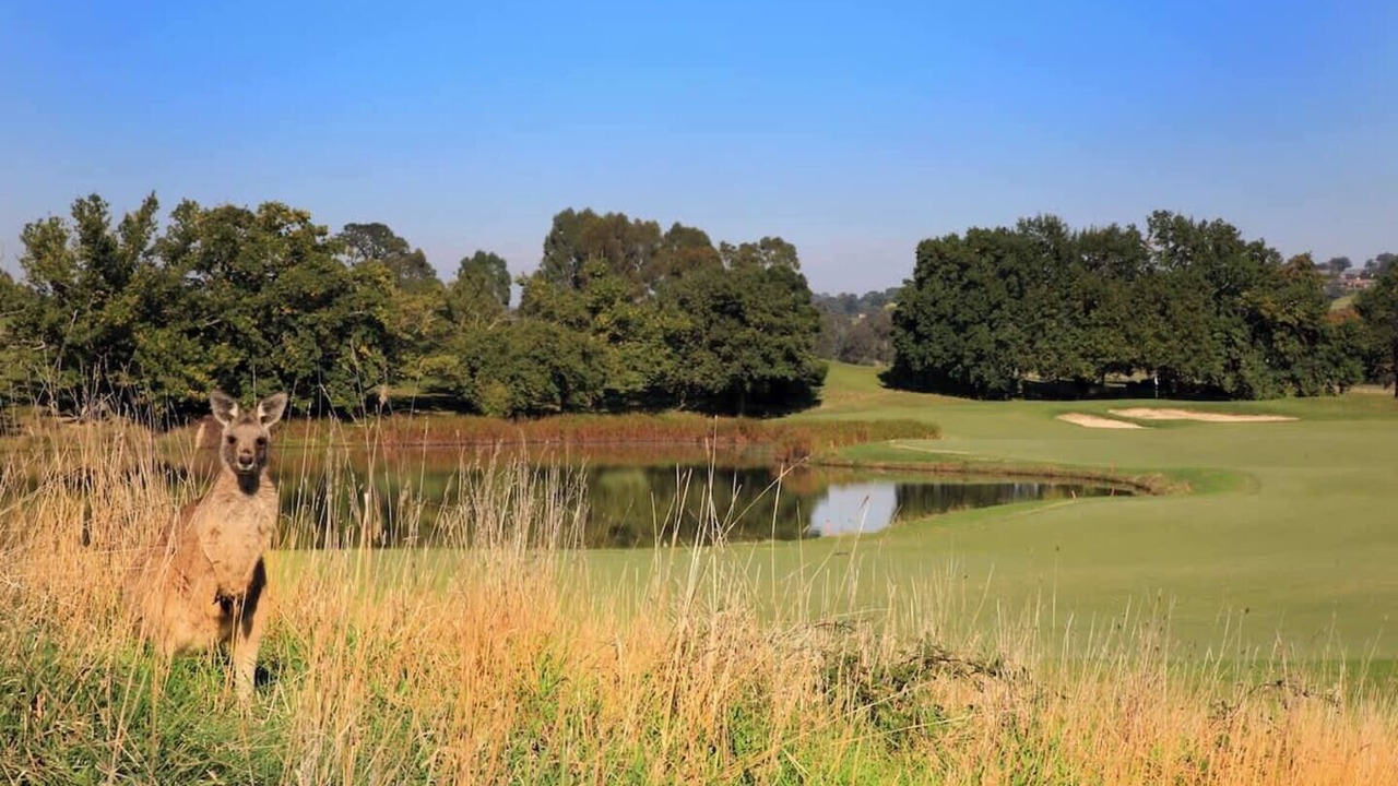 Photo of Others in Chirnside Park