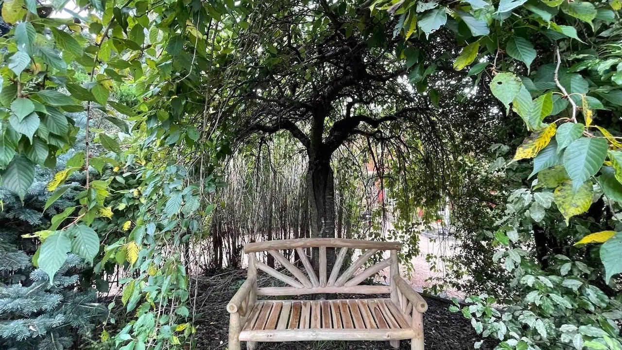 Photo of Outdoor in Mittagong