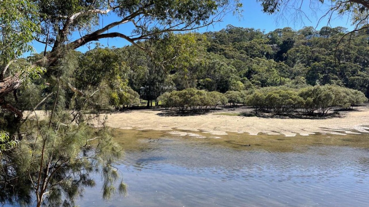 Photo of Others in Grays Point