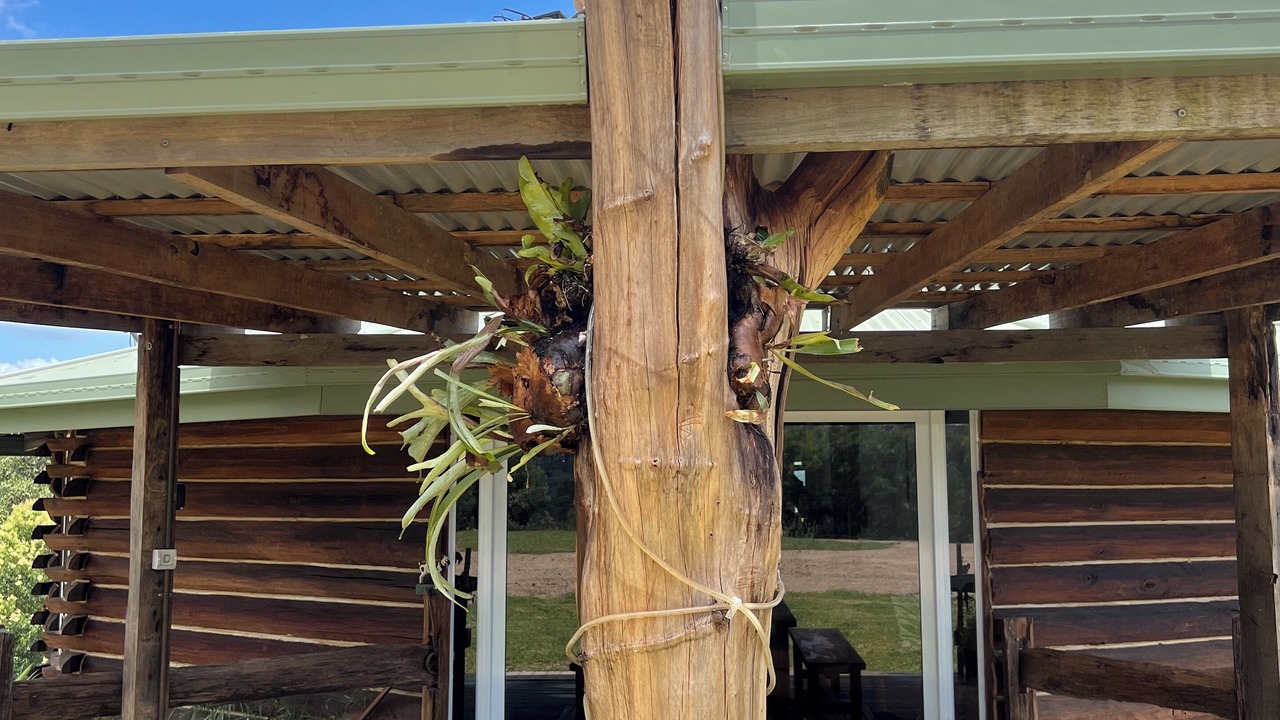 Photo of Outdoor in Elands
