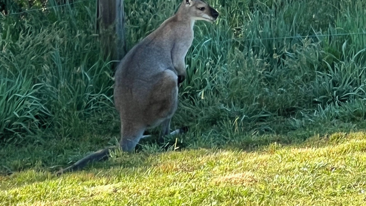 Photo of Others in Elands