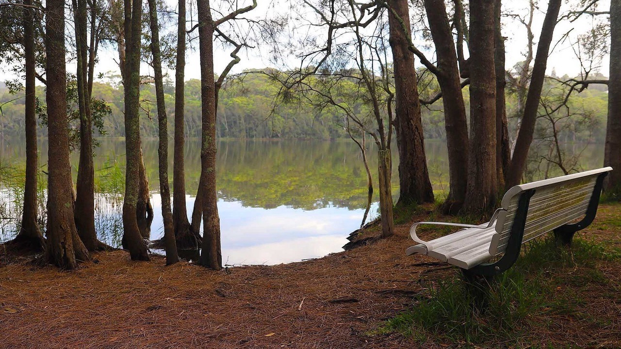 Photo of Outdoor in Macmasters Beach