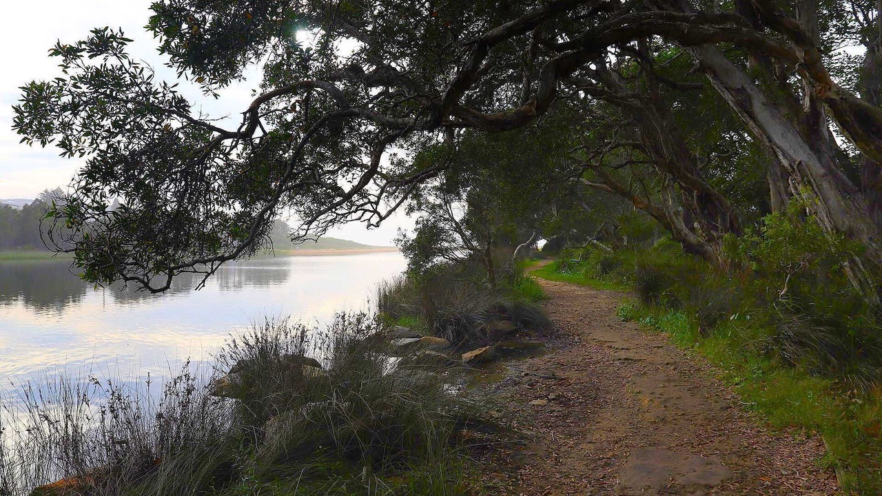 Photo of Others in Macmasters Beach