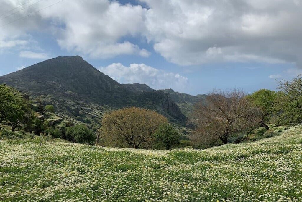 Photo of Outdoor in Nisyros