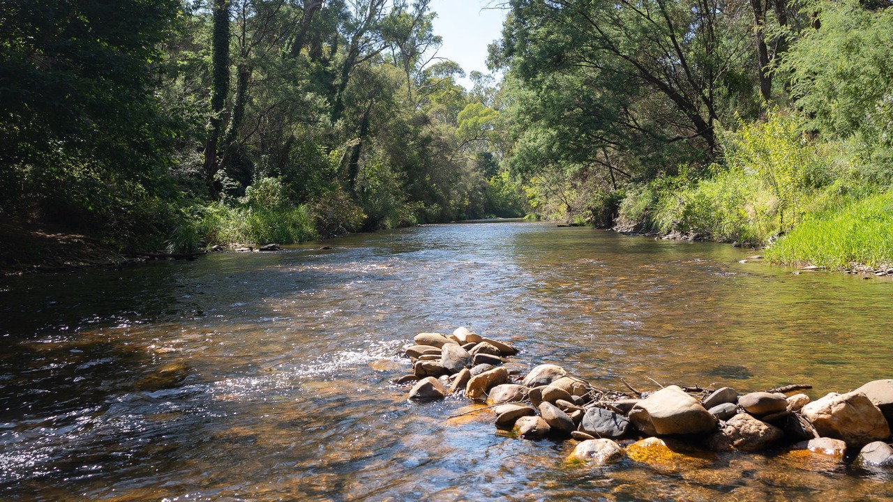 Photo of Others in Porepunkah