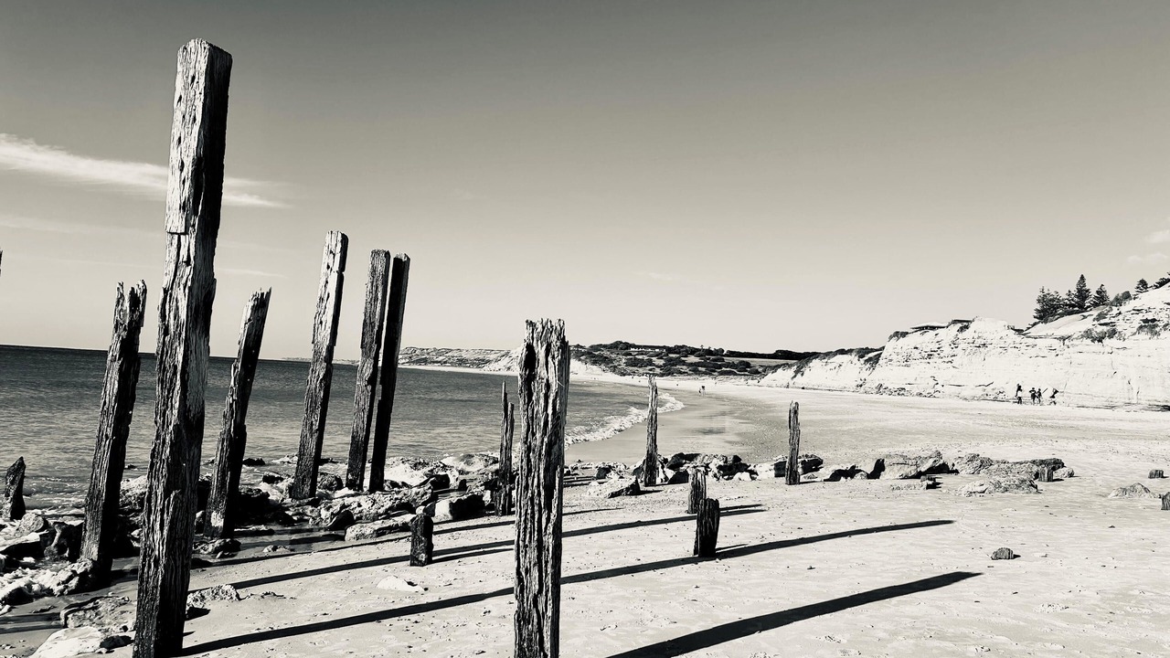 Photo of Others in Port Willunga