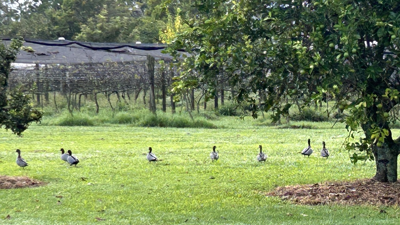 Photo of Others in Raleigh