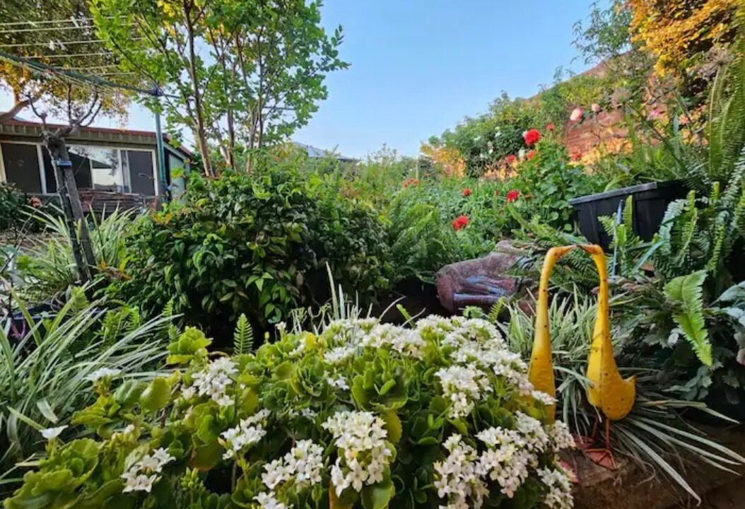 Photo of Outdoor in Modbury North