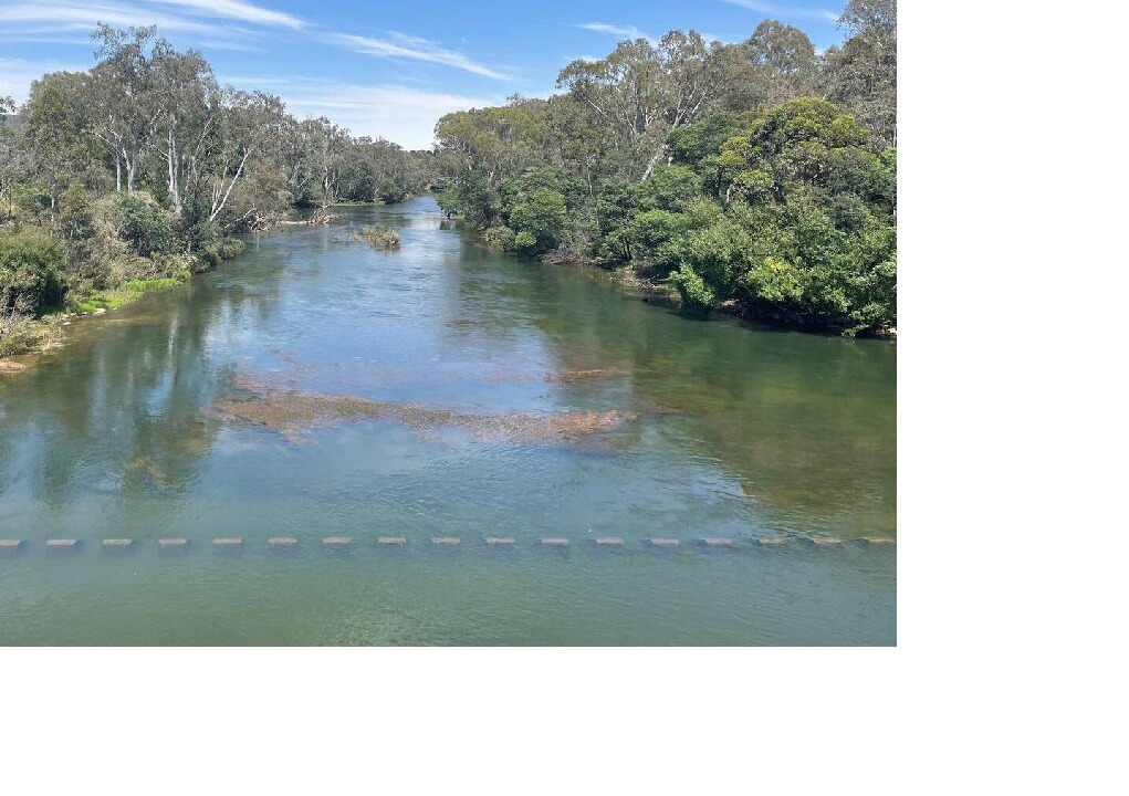 Photo of Others in Eildon