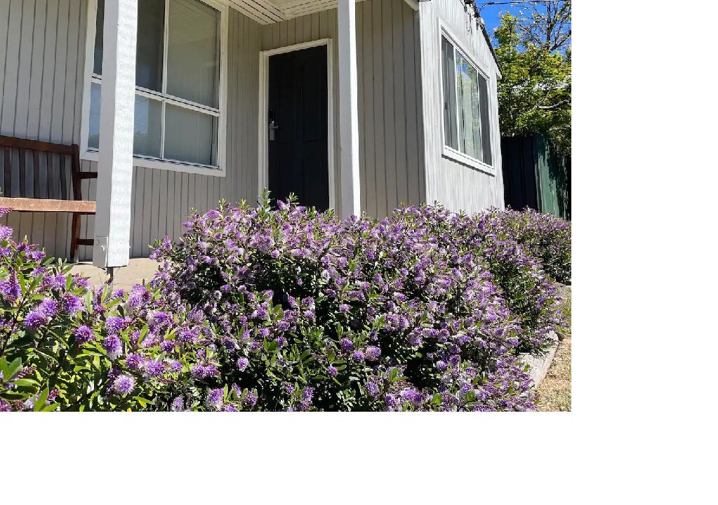 Photo of Outdoor in Eildon