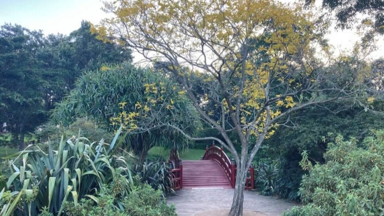 Photo of Outdoor in East Corrimal