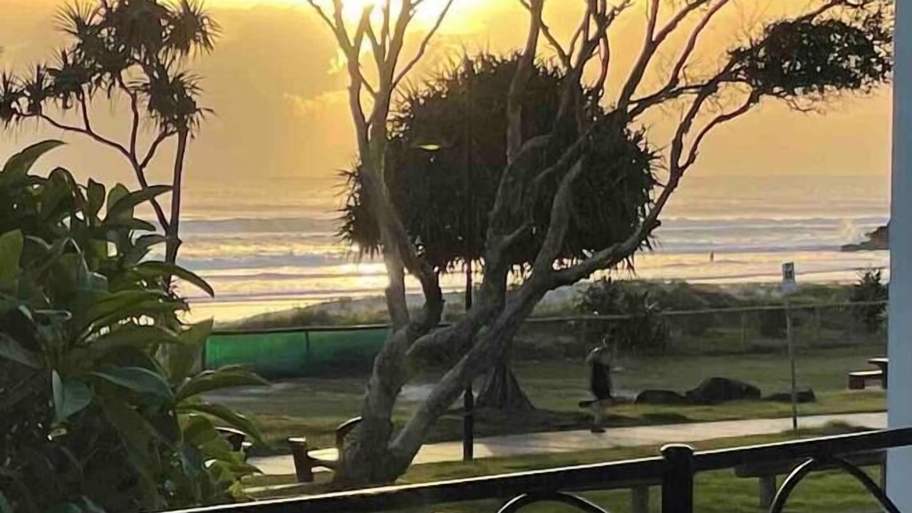Photo of Outdoor in Currumbin