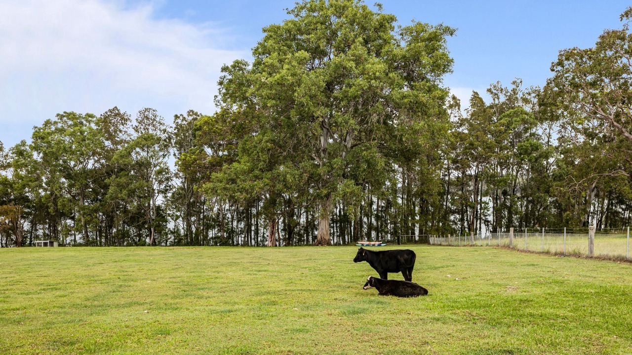 Photo of Outdoor in Eraring