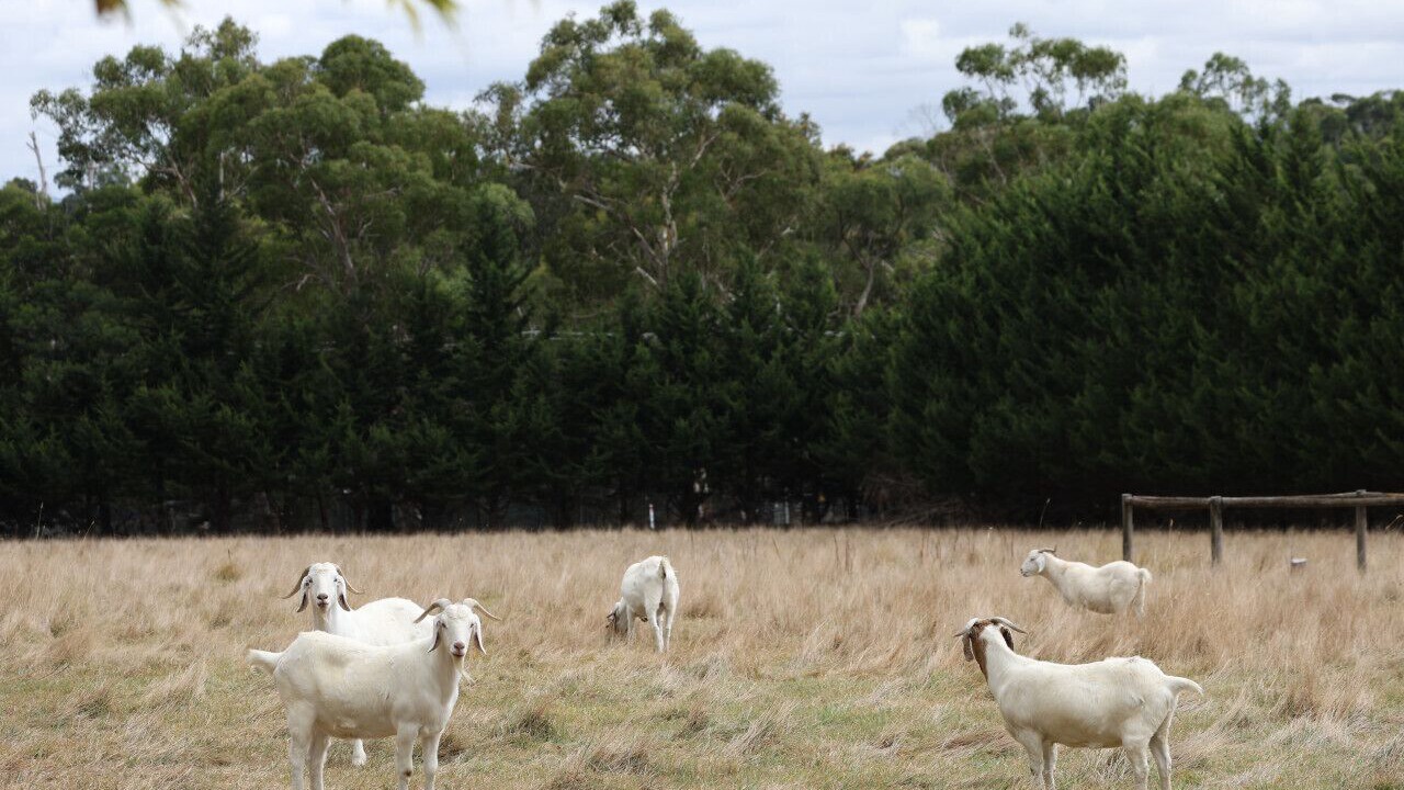 Photo of Others in Badger Creek