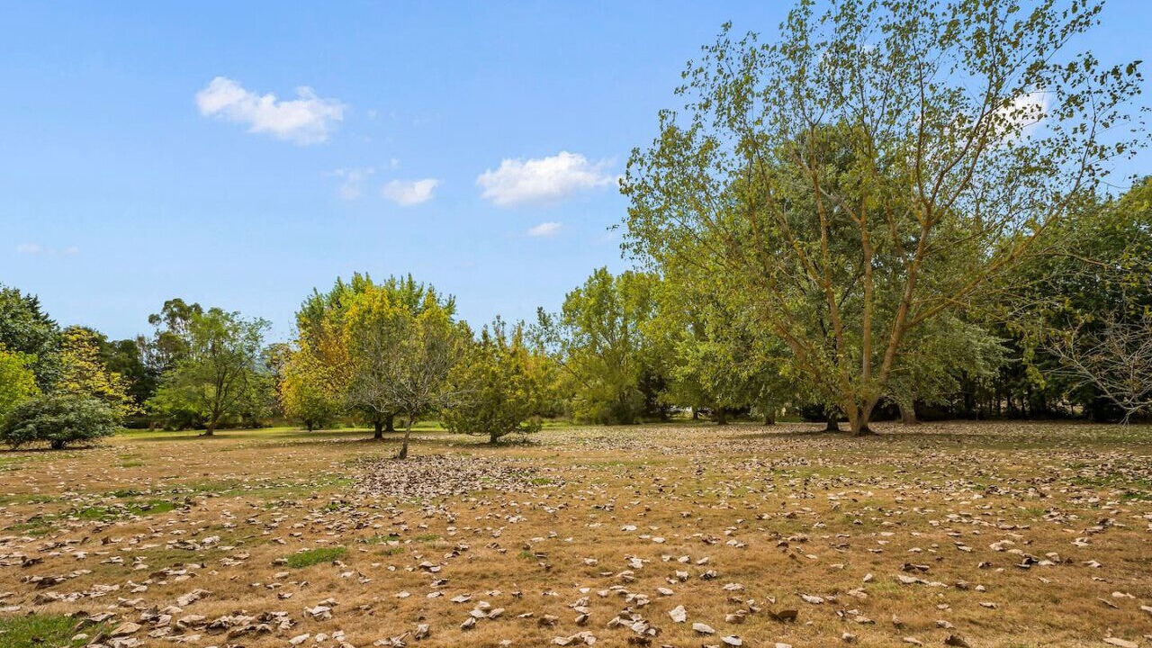 Photo of Others in Badger Creek