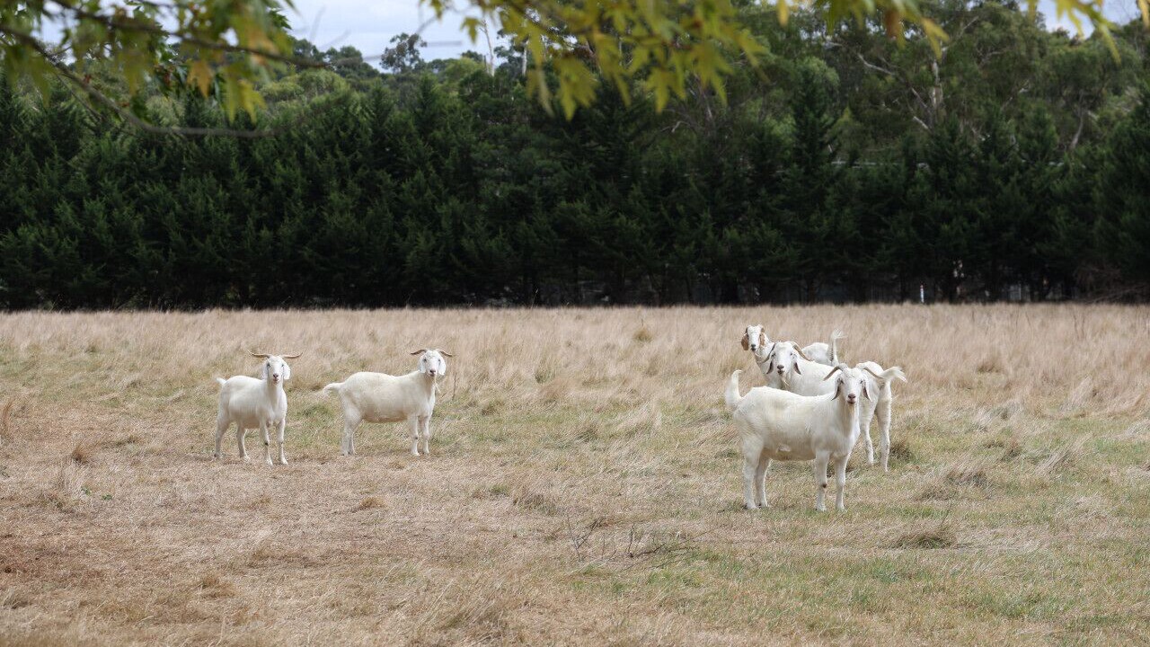 Photo of Others in Badger Creek