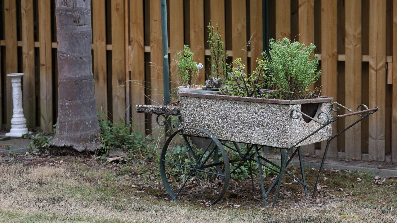 Photo of Outdoor in Badger Creek