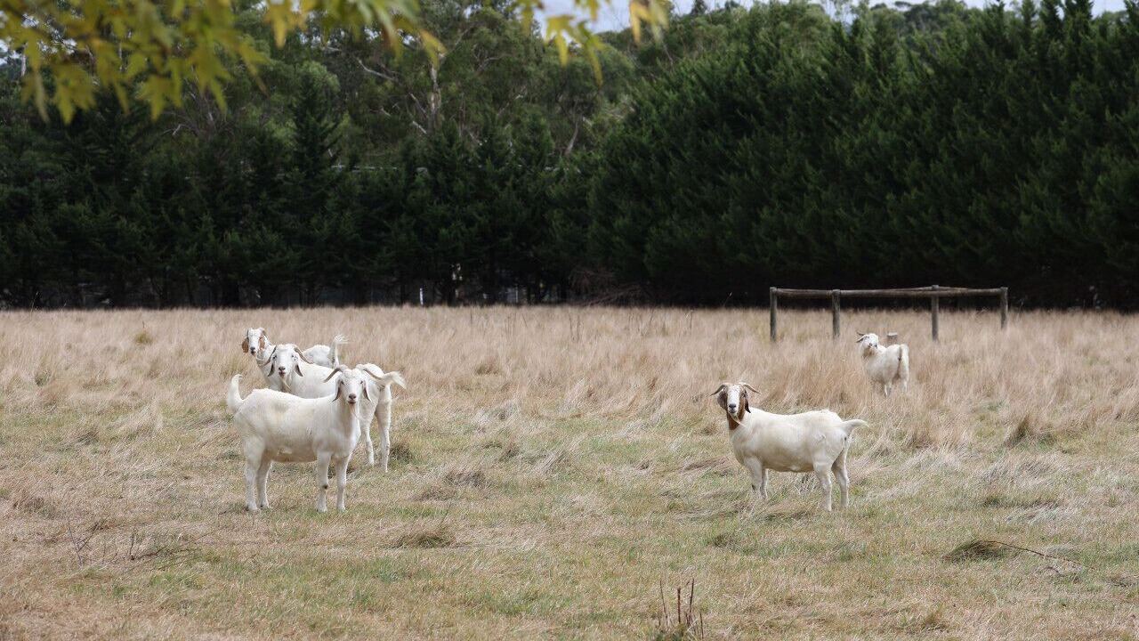 Photo of Outdoor in Badger Creek