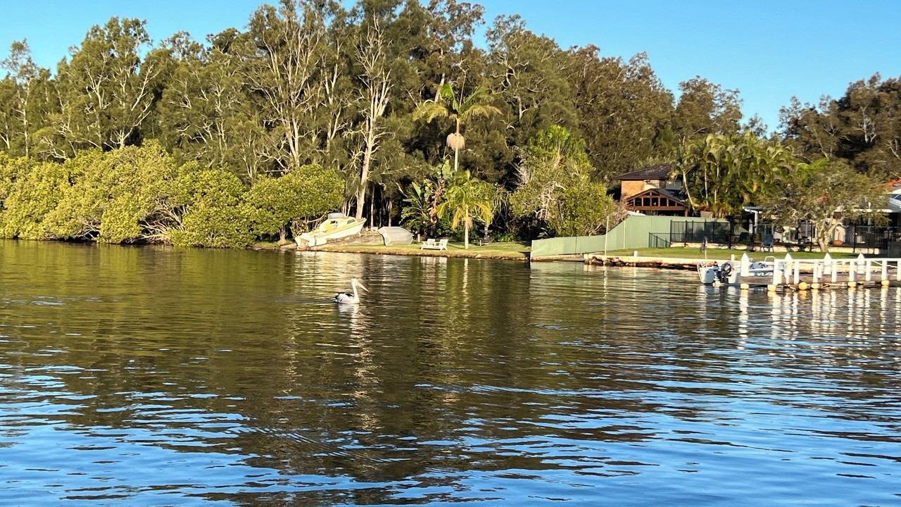 Photo of Others in Dora Creek