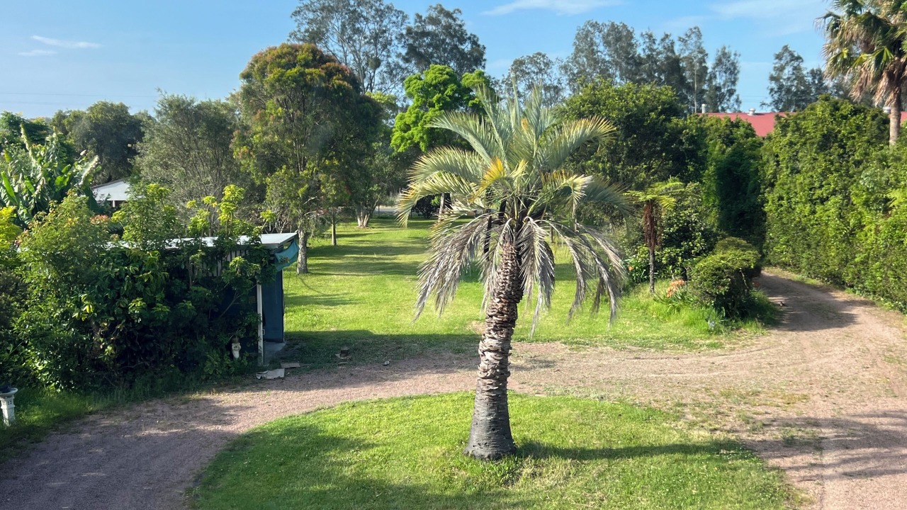 Photo of Outdoor in Dora Creek