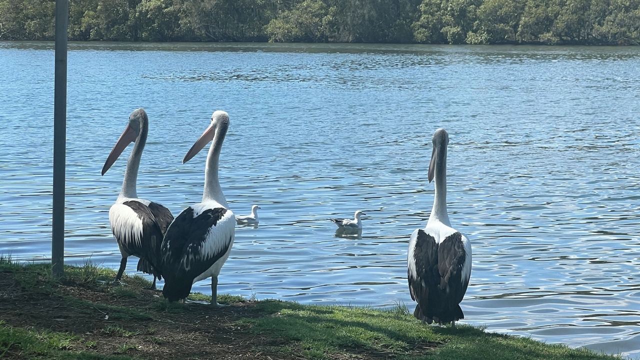 Photo of Others in Dora Creek