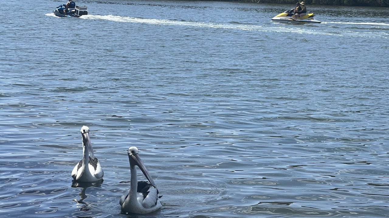 Photo of Others in Dora Creek