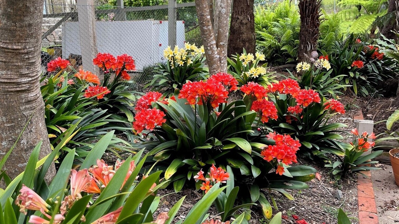 Photo of Outdoor in Kalaru