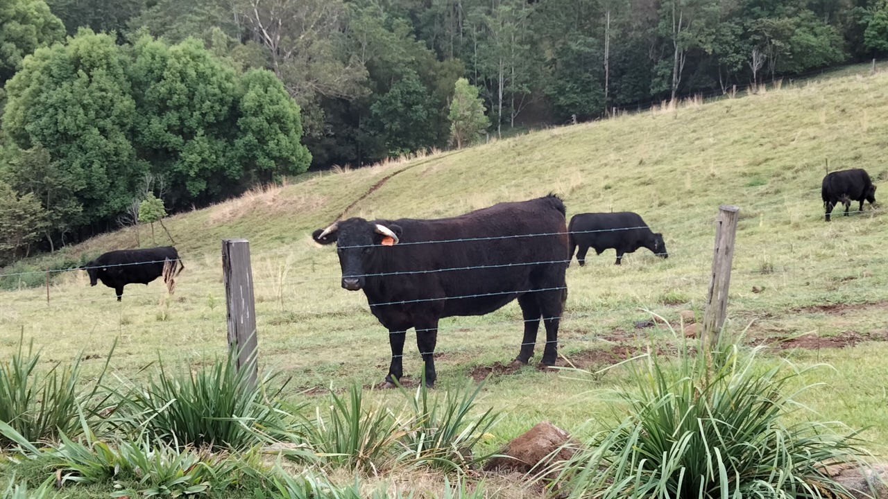Photo of Others in Fernleigh