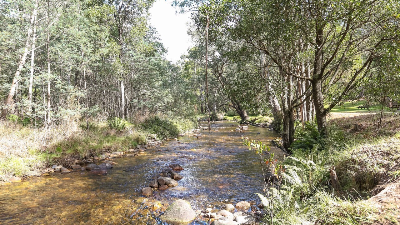 Photo of Outdoor in Sawmill Settlement