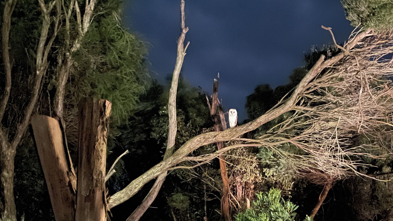 Photo of Others in Kilcunda