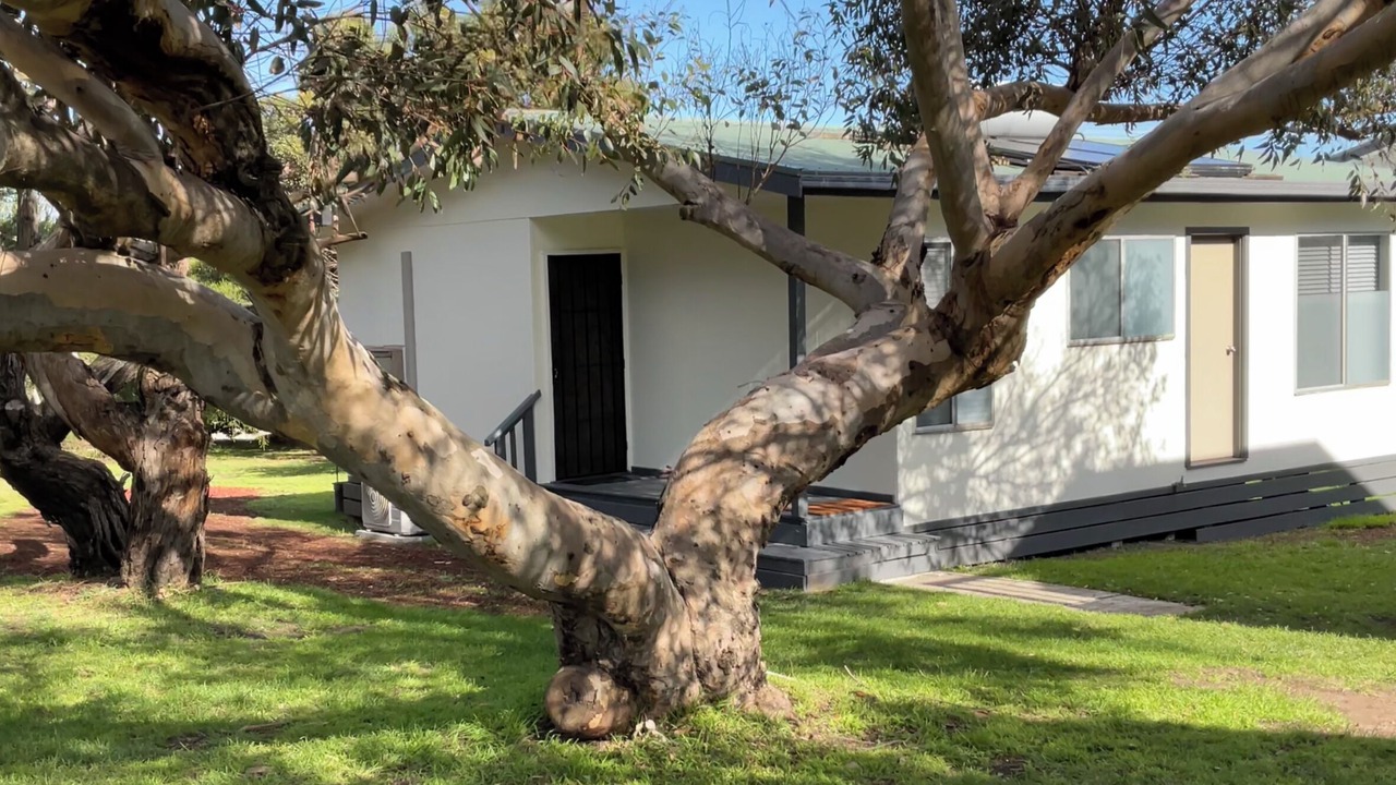 Photo of Outdoor in Kilcunda
