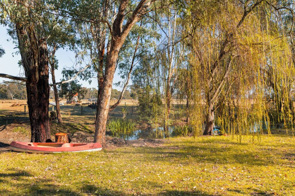 Photo of Outdoor in Markwood