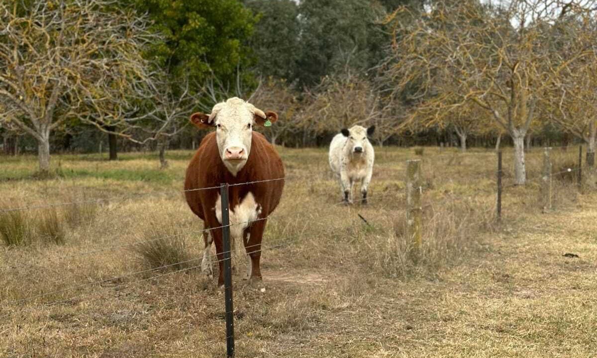 Photo of Others in Markwood