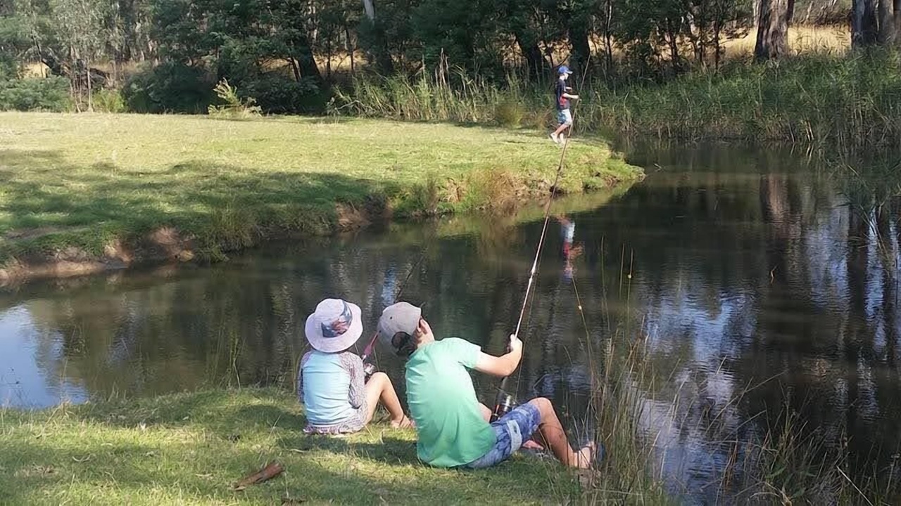 Photo of Others in Markwood