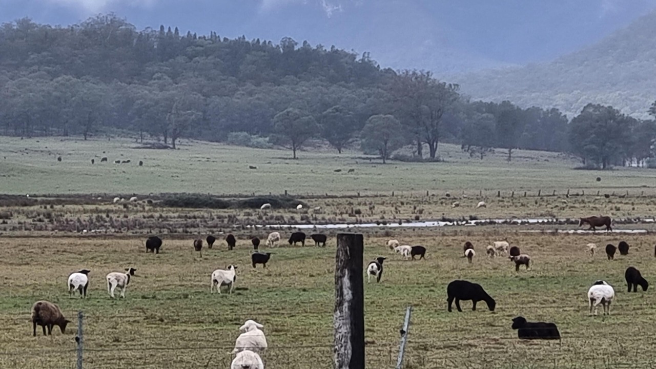 Photo of Outdoor in Broke