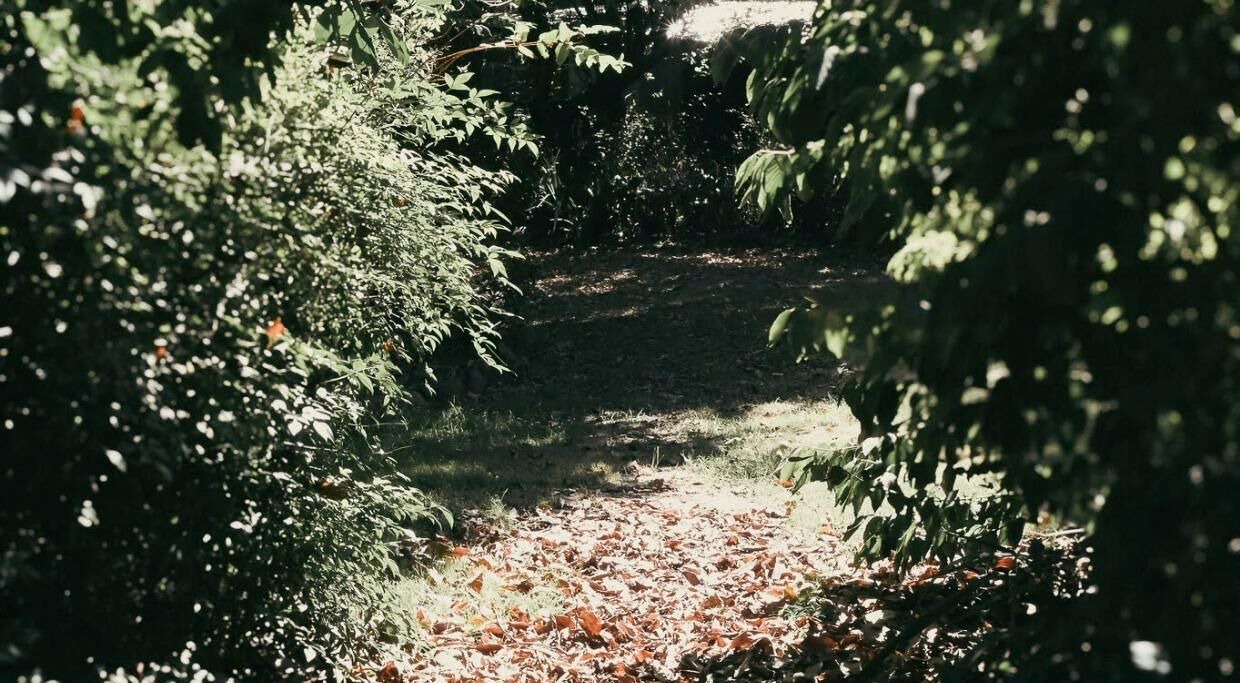 Photo of Outdoor in Wandiligong
