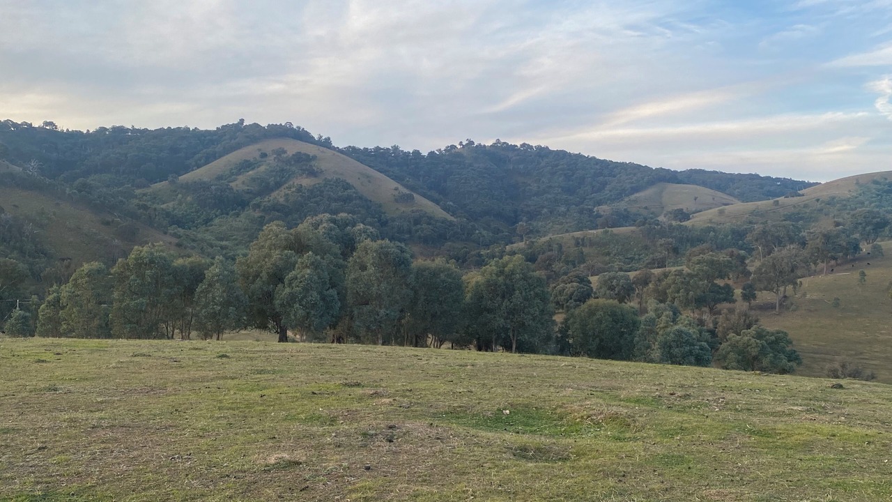 Photo of Outdoor in Alexandra